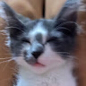 Meet your Posher, Gael